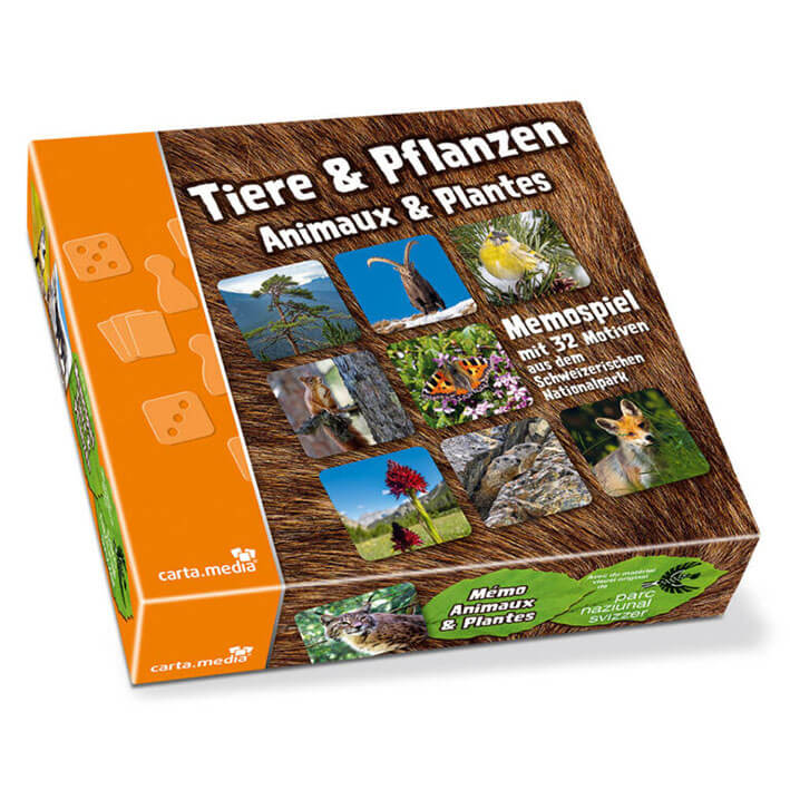 Memospiel mit Tieren und Pflanzen, Kinderspiel für das Gedächtnis