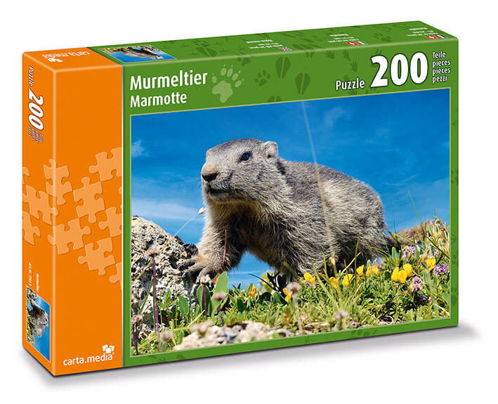Murmeltier auf Alpwiese (Marmotte) Puzzle mit 200 Teilen für Kinder und Erwachsene. Günstig online kaufen.